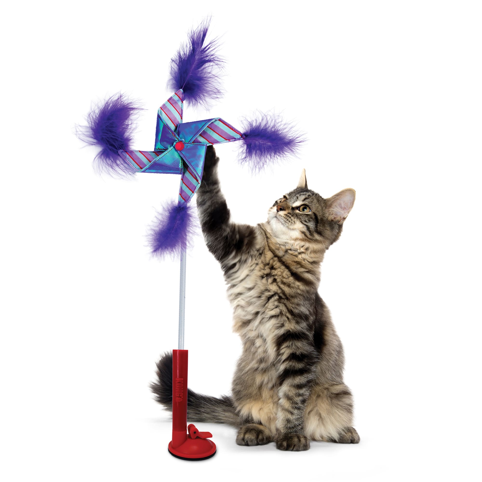 Kong Switch Cat Teaser Pinwheel Interactive Cat Toy  