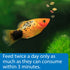 API Tropical Freshwater Fish Food Flakes