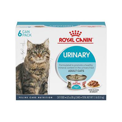 Royal Canin Feline Care Nutrition Urinary Care Thin Slices in Gravy Adult Canned Cat Food - 3 Oz - Case of 6 Default Title