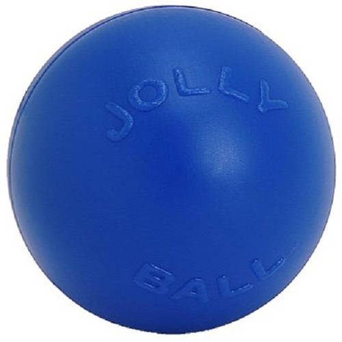 Jolly Pets Push N' Play Ball Fetch and Floating Dog Toy - Blue - 10 Inch