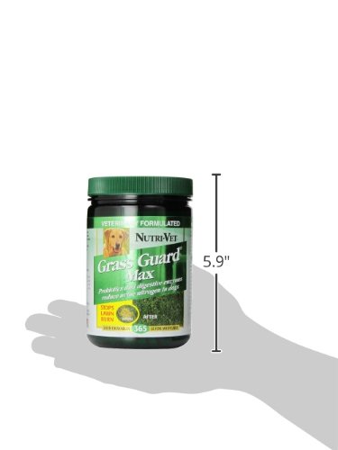 Nutri-Vet Grass Guard Max Lawn Burn Urine Prevention Probiotic Chewable Dog Supplements - 360 Count