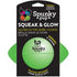 Spunky Pup Squeak and Glow in The Dark Football Float and Fetch Dog Toy