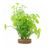 Fluval AquaLife Yellow-Green Lysimachia Plastic Plant Aquarium Décor - 8 Inch