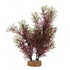 Fluval AquaLife Red and Green Foxtail Plastic Plant Aquarium Décor - 8 Inch Inch