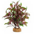Fluval AquaLife Broad Leaf Ludwigia Plastic Plant Aquarium Décor - 10 Inch