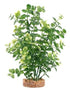 Fluval AquaLife Green Bacopa Plastic Plant Aquarium Décor - 8 Inch