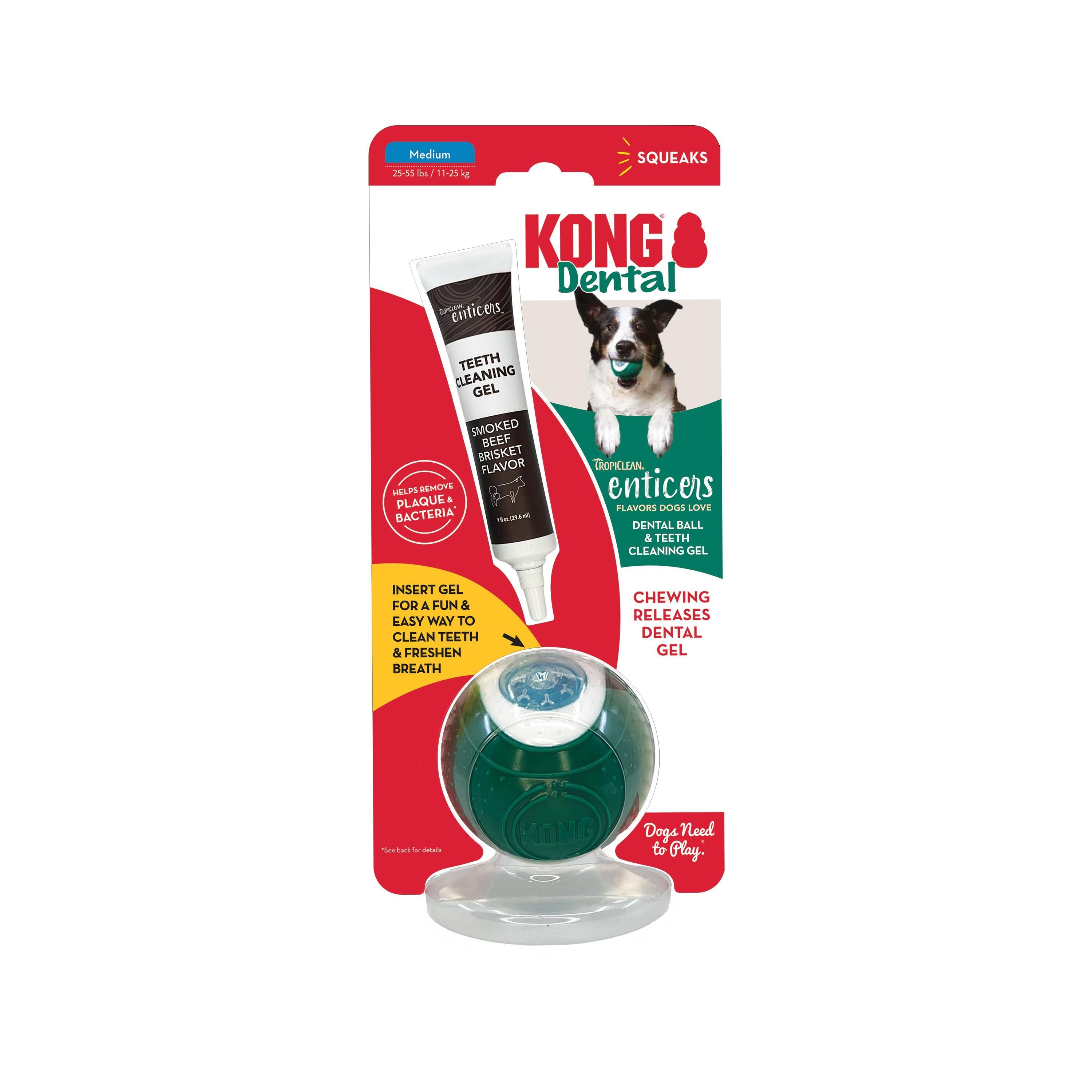 Kong Dental Ball Dog Toy with Fresh Breath and Teeth Cleaning Gel - Medium  