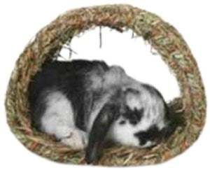 Marshall Peter's Woven Grass Hide-A-Way Hut for Small Animals - Brown 