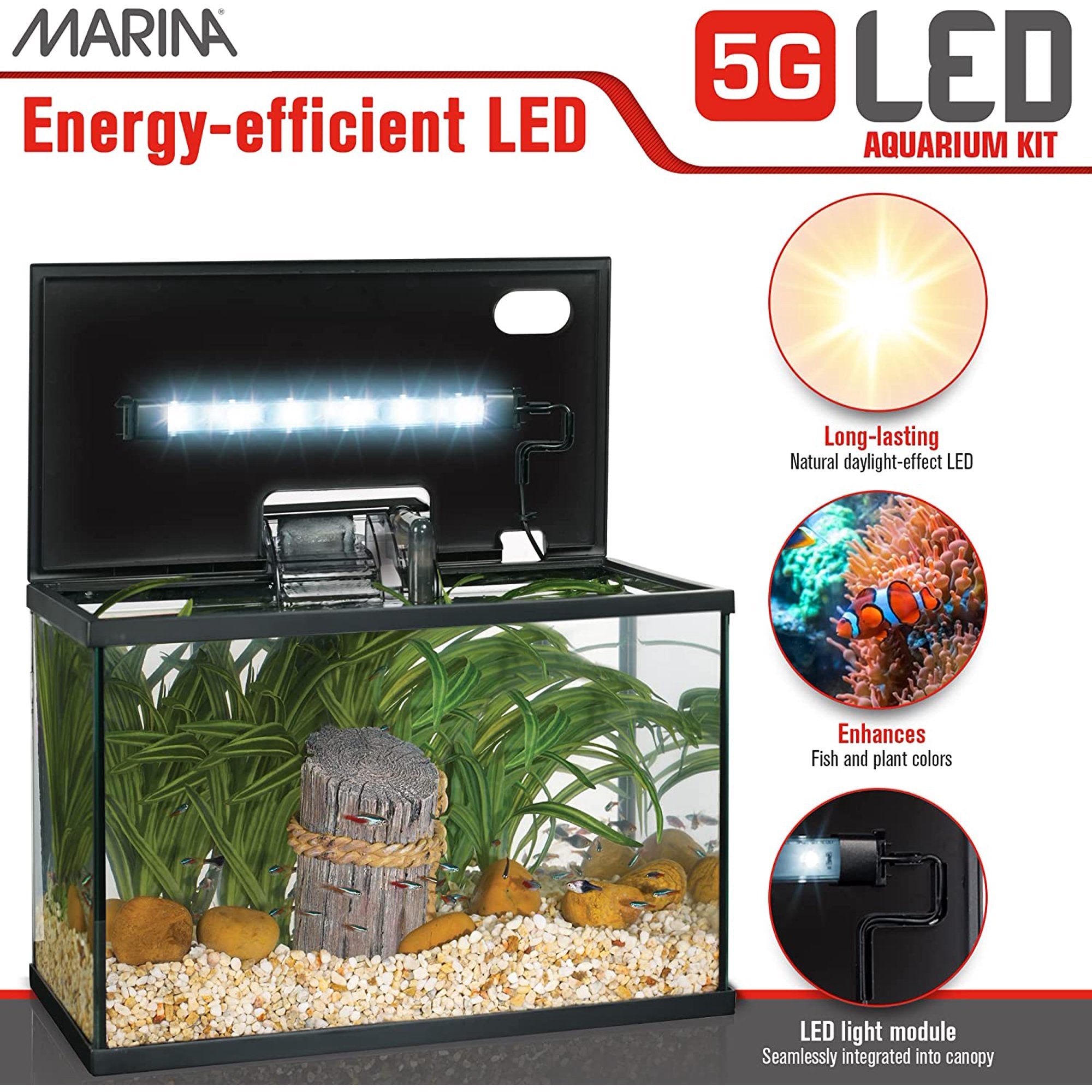 Hagen Marina LED Glass Aquarium Kit with Power Filter Net and Thermometer - 5 Gallons - L:16 X W:8.5 X H:10.5 Inches