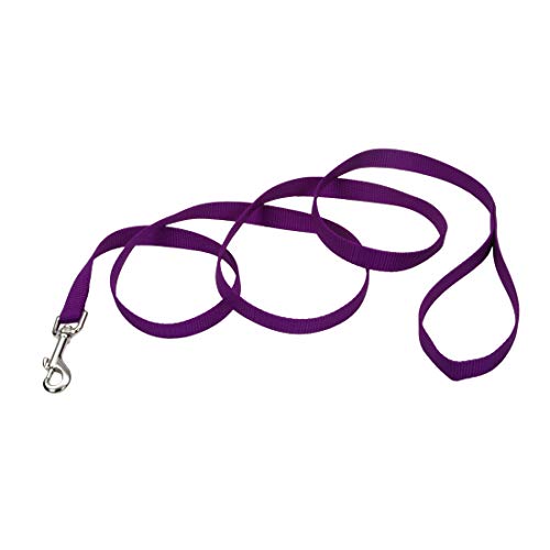 Coastal Single-Ply Nylon Dog Leash - Purple - L:72 X W:3/4 Inch