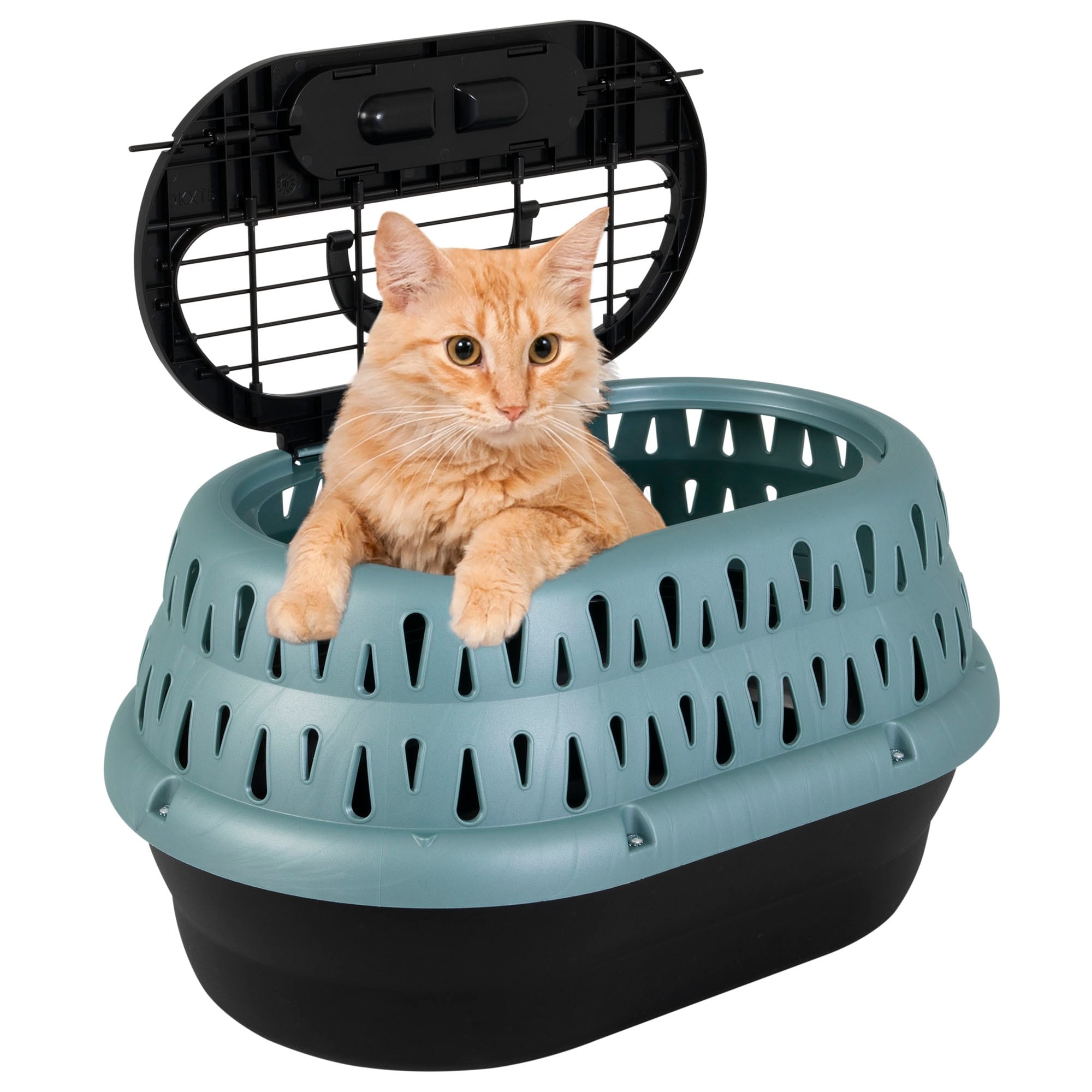 Petmate 2-Door Top Loading Oval-Shaped Airline Travel Cat Kennel Carrier - Small - L:19 X W:12.5 X H:10.8 Inches