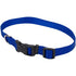 Coastal Adjustable Plastic Tuff-Buckle Nylon Dog Collar - Blue - Small/Med - L:14-20 X W:3/4 Inch