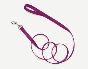 Coastal Single Ply Nylon Dog Leash - Black - Medium - L:72 X3/4 Inch