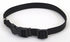 Coastal Adjustable Plastic Tuff-Buckle Nylon Dog Collar - Black - Small - L:10-14 X W:5/8 Inch