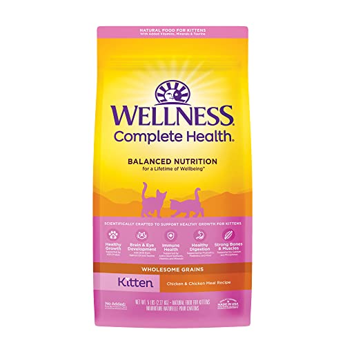 Wellness Complete Health Chicken and Wholesome Grains Kitten Formula Dry Cat Food - 5 Lbs  