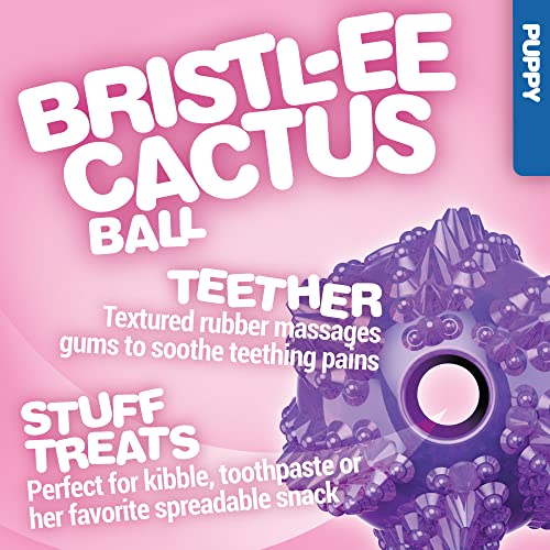 JW Pet BRISTL-EE Cactus Treat-Spreading Dental Ball Fetch Dog Toy