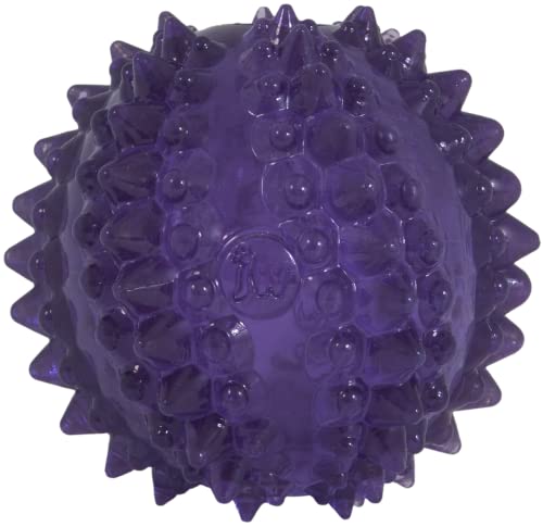 JW Pet BRISTL-EE Cactus Treat-Spreading Dental Ball Fetch Dog Toy