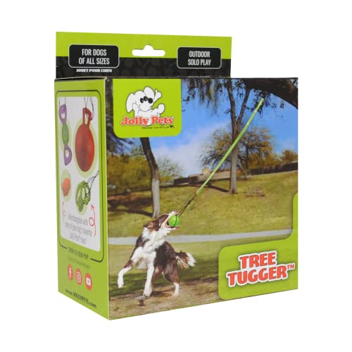 Jolly Pets Tree Tugger Branch-Connecting Hanging Interactive Nylon Cord and Ball Dog Toy