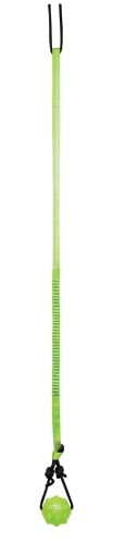 Jolly Pets Tree Tugger Branch-Connecting Hanging Interactive Nylon Cord and Ball Dog Toy