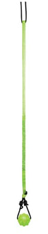 Jolly Pets Tree Tugger Branch-Connecting Hanging Interactive Nylon Cord and Ball Dog Toy