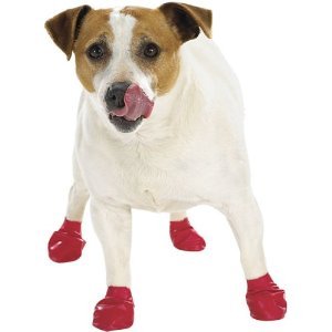 Pawz Waterproof Disposable and Reusable Rubberized Dog Boots - Orange - Extra Small - 12 Pack  