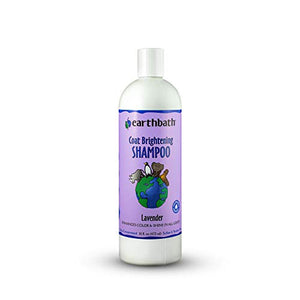Earthbath Coat Brightening Lavender Dog Shampoo - 16 Oz