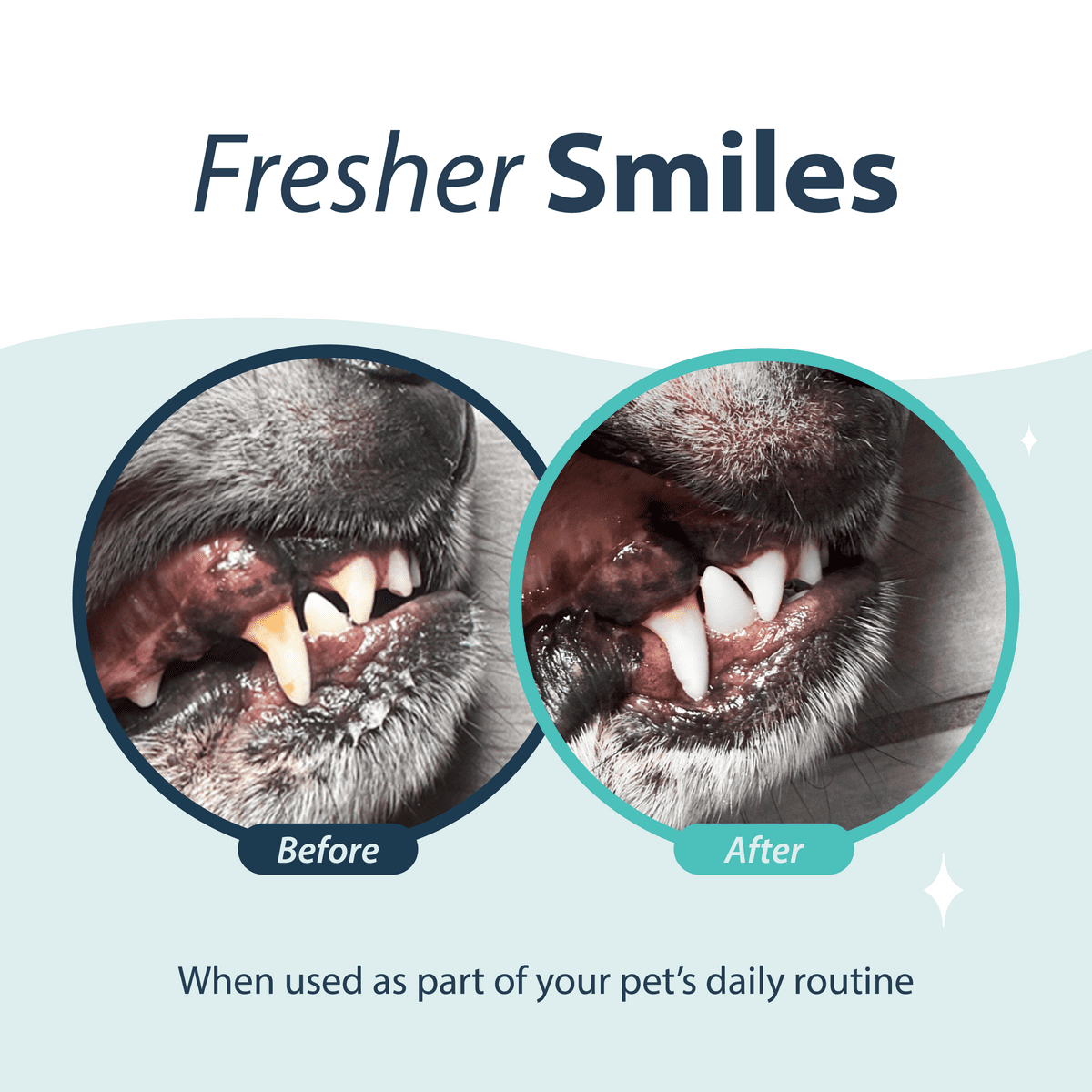 Synergy Labs Dental Fresh Original Formula Breath and Gum Enhancing and Teeth Whitening Cat and Dog Oral Spray - 4 Oz