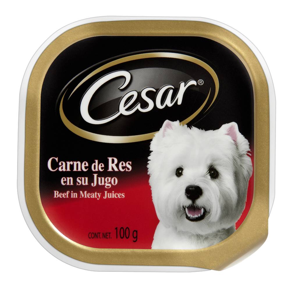Cesar Classic Loaf in Sauce Beef and Gravy Small-Breed Wet Dog Food Trays - 3.5 Oz - Case of 24 Default Title
