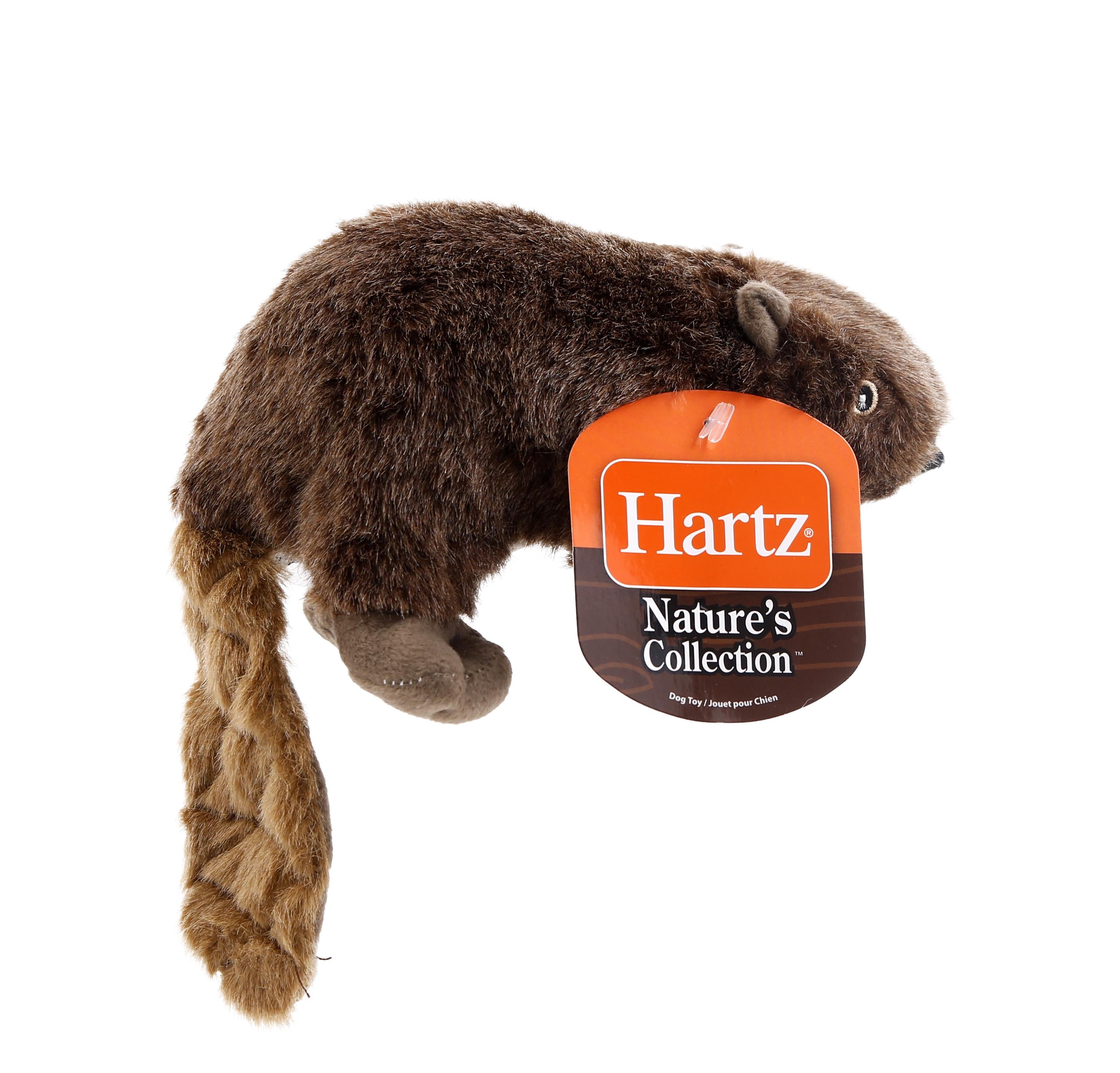 Hartz Mountain Nature's Collection Plush Dog Toys - Large  