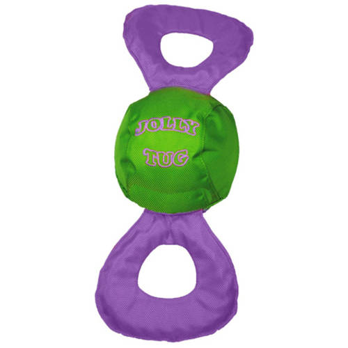 Jolly Pets Tug and Squeak Nylon Dog Toy - Green/Orange - Medium