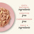 Applaws Natural Limited Ingredient Tuna Fillet and Salmon in Broth Canned Cat Food - 2.47 Oz - Case of 24