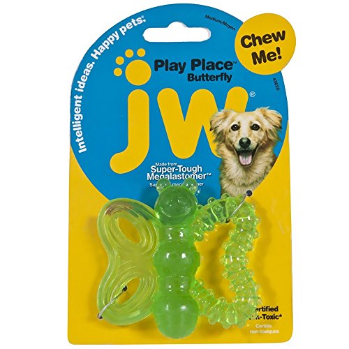 JW Pet Chew-Me Butterly Teething Rubber Bounce Chew Puppy Dog Toy