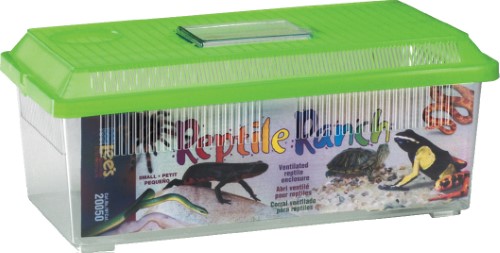Lee's Reptile Ranch Small and Rectangular Reptile Plastic Cage - Small