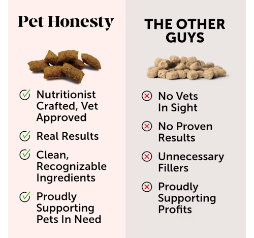 Pet Honesty Skin and Coat Omega and Biotin Chicken Flavor Supplemental Cat Treats - 3.7 Oz - 30 Day Supply