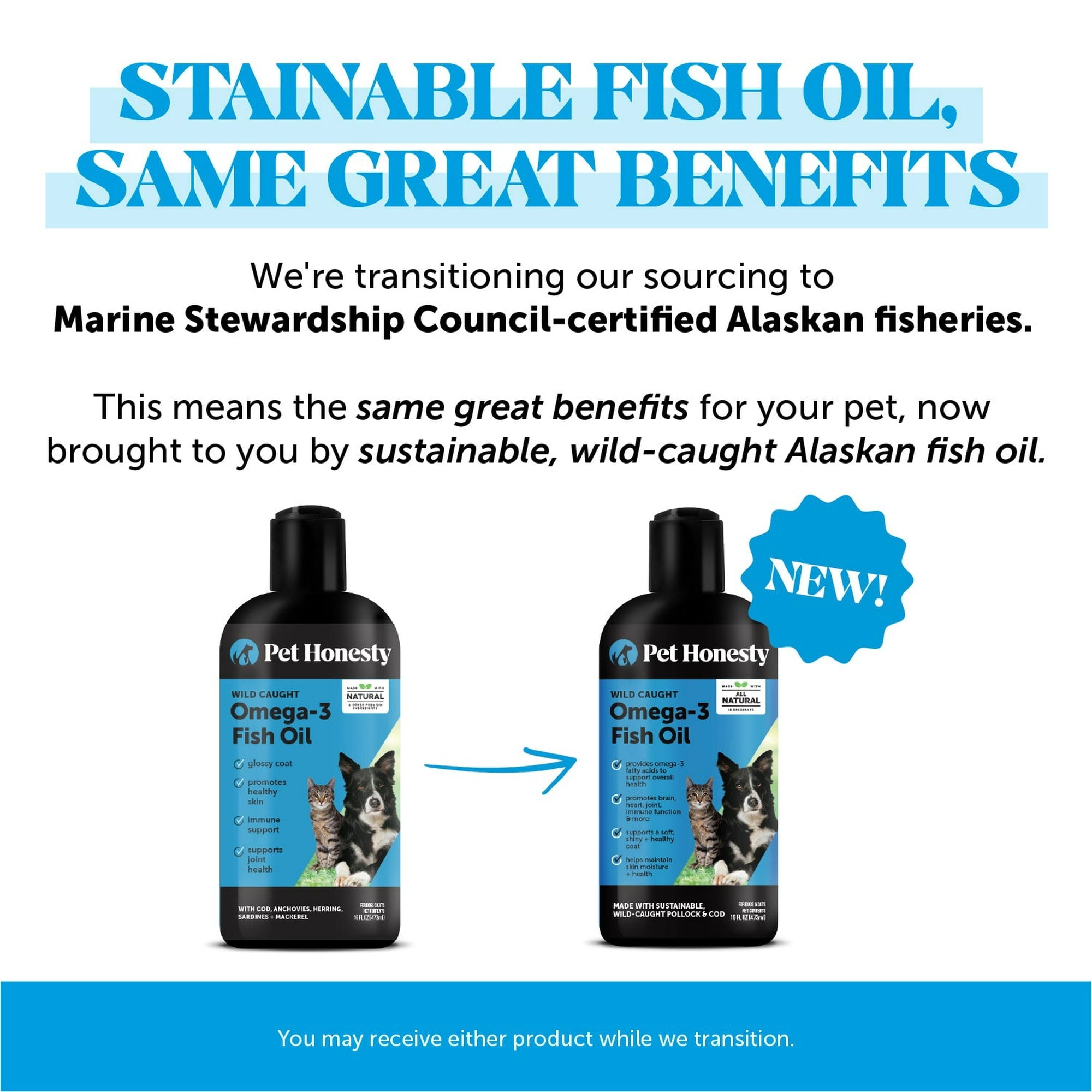 Pet Honesty Wild-Caught Omega-3 Fish Oil Skin Brain and Joint Support Liquid Dog and Cat Supplement - 16 Oz