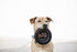 Mammoth Pet Products TireBiter II Tire Chew Rubber Dog Toy - Extra Large - 7 Inch