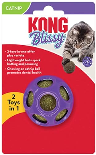 Kong Bissy Ball Mesh and Rubber Cat Toy with Catnip  