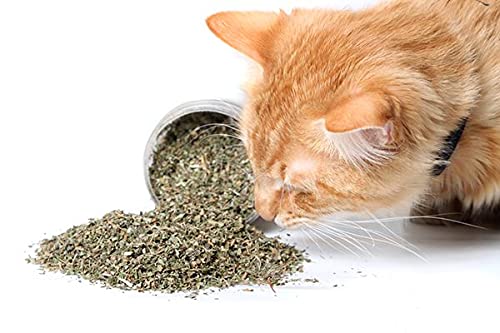 Meowijuana Get Blitzed Raindeer Crinkle Catnip Cat Toy  