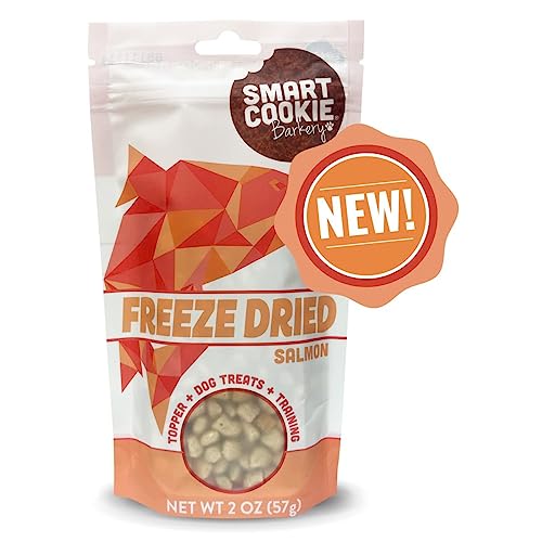 BRAVO! Bonus Bites Freeze-Dried Salmon Crunchy Dog Treats - 2 Oz  