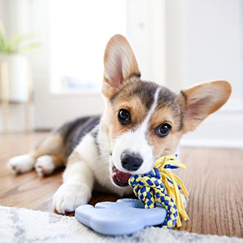 Zippy Paws ZippyTuff Teethers Elliot the Elephant Rope and Chew Puppy Dog Toy - Small  