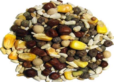 F.M. Brown's Super Cracked Corn Seeds and Grain Blend Pigeon Wild Bird Food - 50 Lbs Default Title