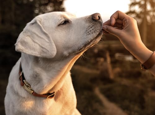 Three Dog Bakery Super Rewards Orchard Apple Pie Soft and Chewy Training Dog Treats - 5 Oz - Case of 12  