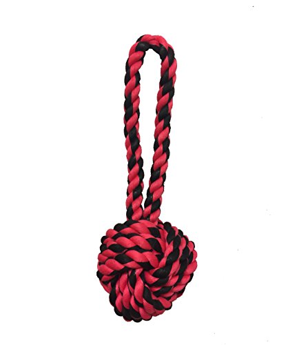 Multipet Nuts for Knots Dual-Knotted Jumbo Rope Dog Toy - Assorted - 48