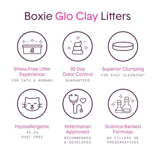 Boxiecat Glo Natural Attractions Dust-Free Odor Control Clumping Clay Kitty Cat Litter