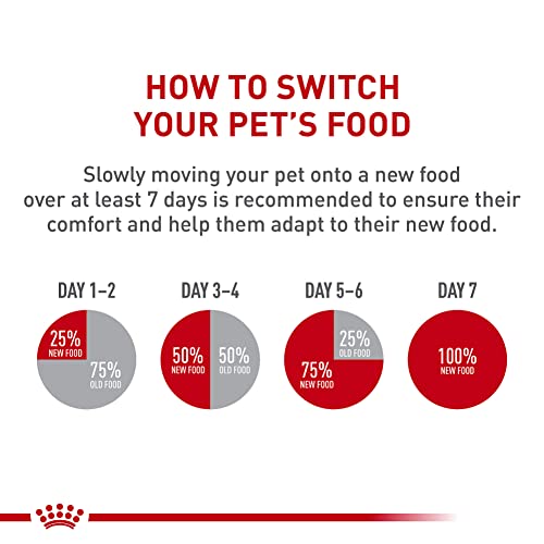 Royal Canin Beauty Loaf in Sauce Adult Canned Dog Food - 5.2 Oz - Case of 24  