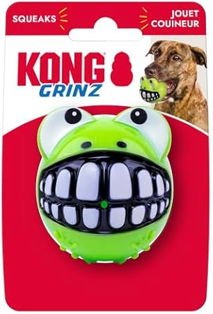 Kong Grinz Frog Bounce and Squeak and Fetch Rubber Dog Toy - Medium