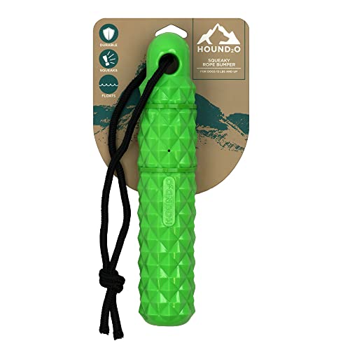 Playology Hound2O Rope Bumber Squeak and Fetch Rubber Dog Toy - Green  