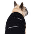 Canada Pooch Ultimate Stretch Fall and Winter Dog Vest