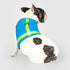 Canada Pooch Chill Seaker Reflective and Cooling Dog Harness