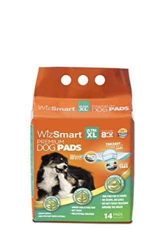 Wizsmart All Day Premium Ultra Training Dog Pads - X-Large - 14 Count  